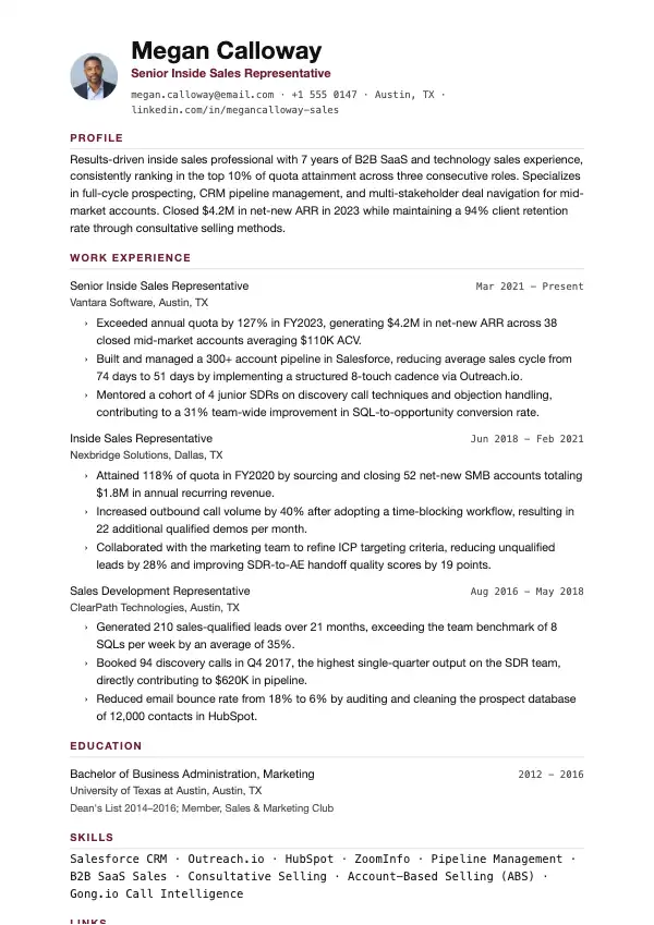 Indesælger CV-eksempel