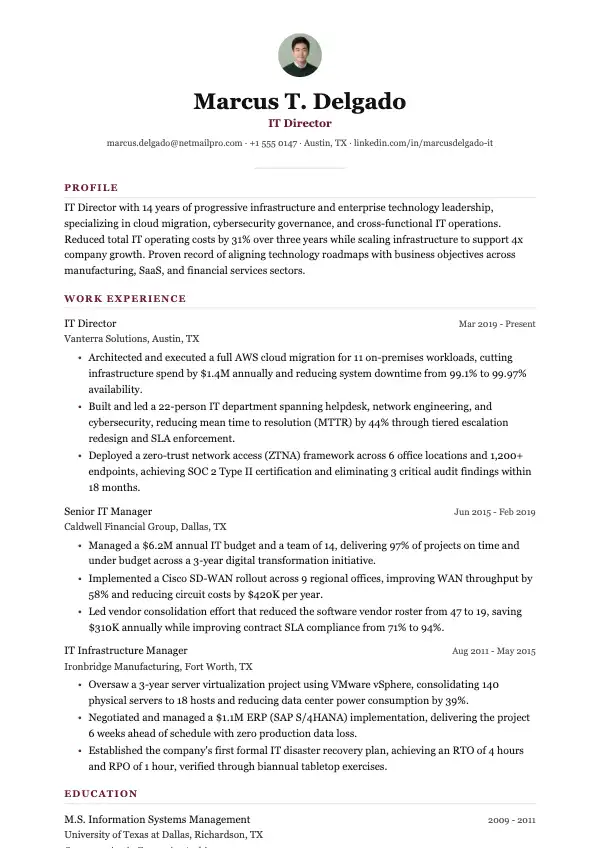 Przykład CV, Dyrektor IT
