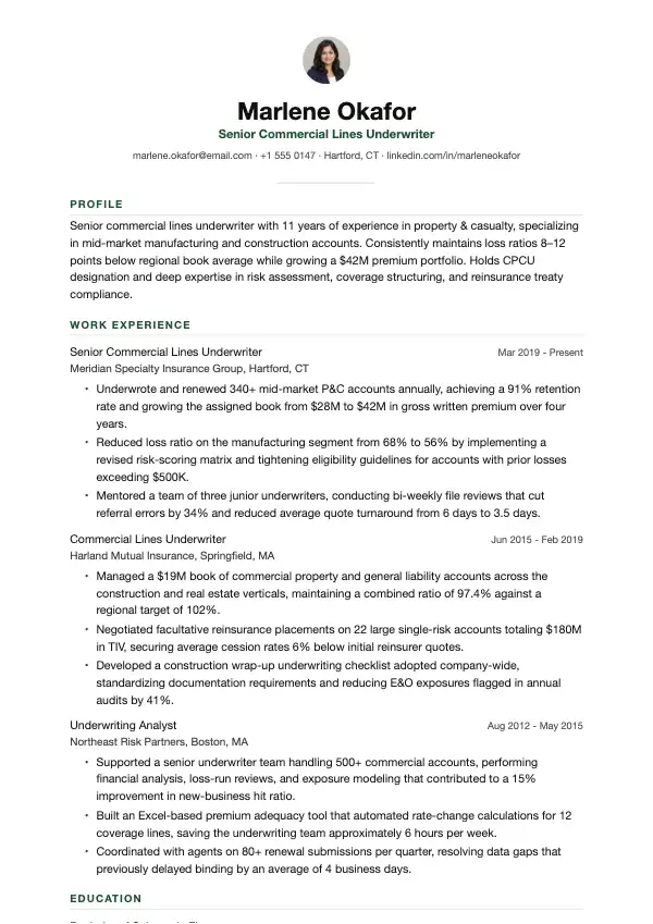 Contoh CV Penaja Jamin
